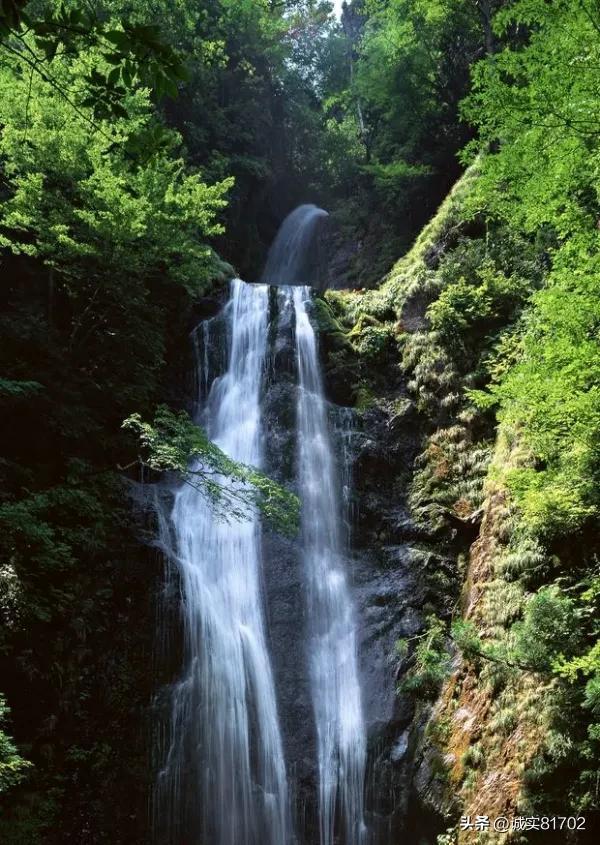 万米高空 中医妙手针灸救旅客